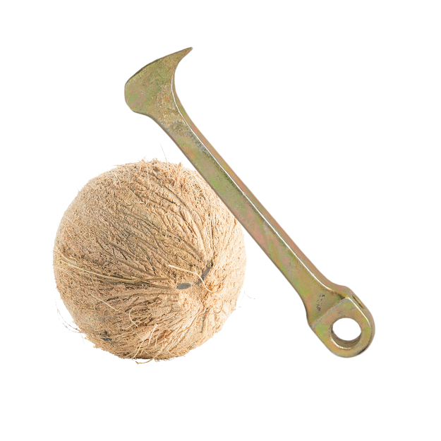 Coconut Breaker and Slicer - Cycle Pedal