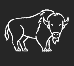 Bison Products